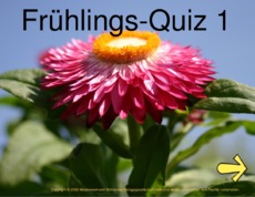 Frühlingsquiz-1.pdf